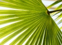 A! Botanischer Garten WTL20151102_0024 als Smartobjekt-1 Kopie